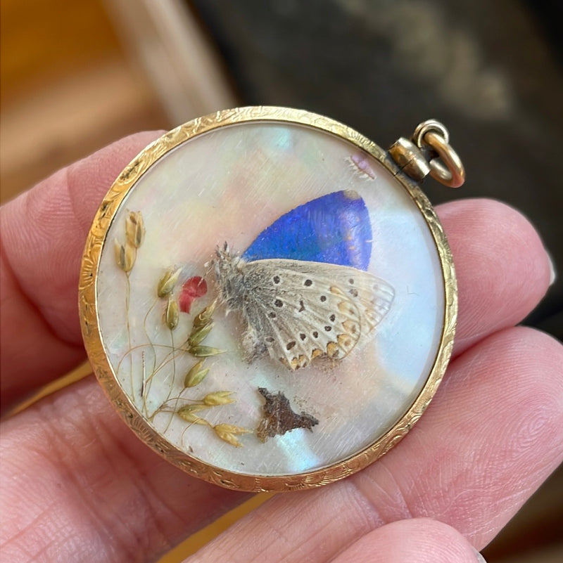 Butterfly Wing Pendant - Antique