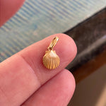 Shell Pendant - 14k Gold - Vintage