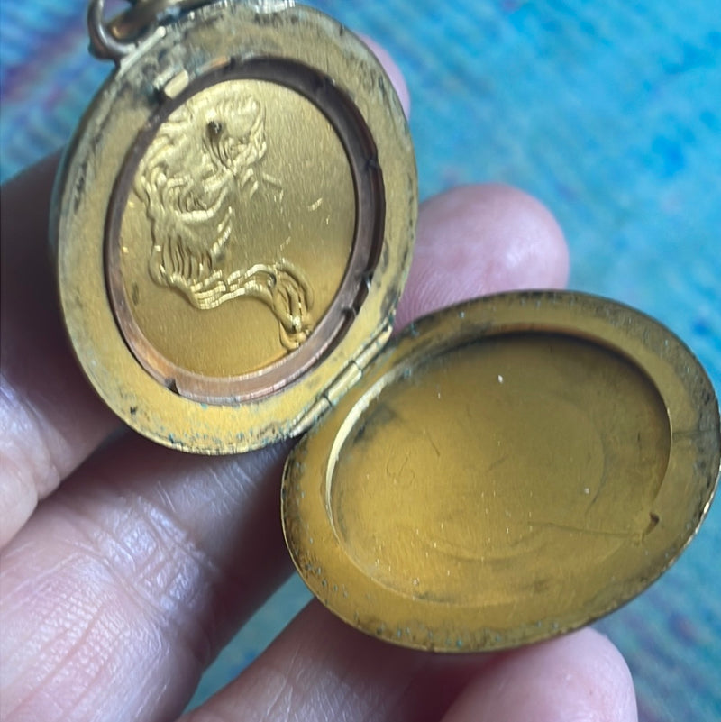 Nouveau Lady Locket - Paste - Gold Filled - Antique