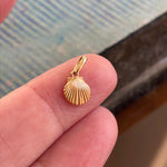 Shell Pendant - 14k Gold - Vintage