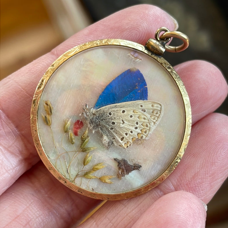 Butterfly Wing Pendant Antique – Vintage Paris Jewelry
