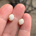 Opal Stud Earrings - 14k Gold - Vintage