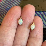 Opal Turtle Earrings - 14k Gold - Vintage